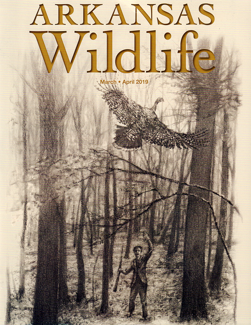 Arkansas-Wildlife March 01, 2019 Issue Cover