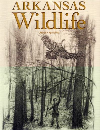 Arkansas Wildlife March 01, 2019 Issue Cover