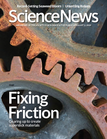 Science News August 03, 2019 Issue Cover