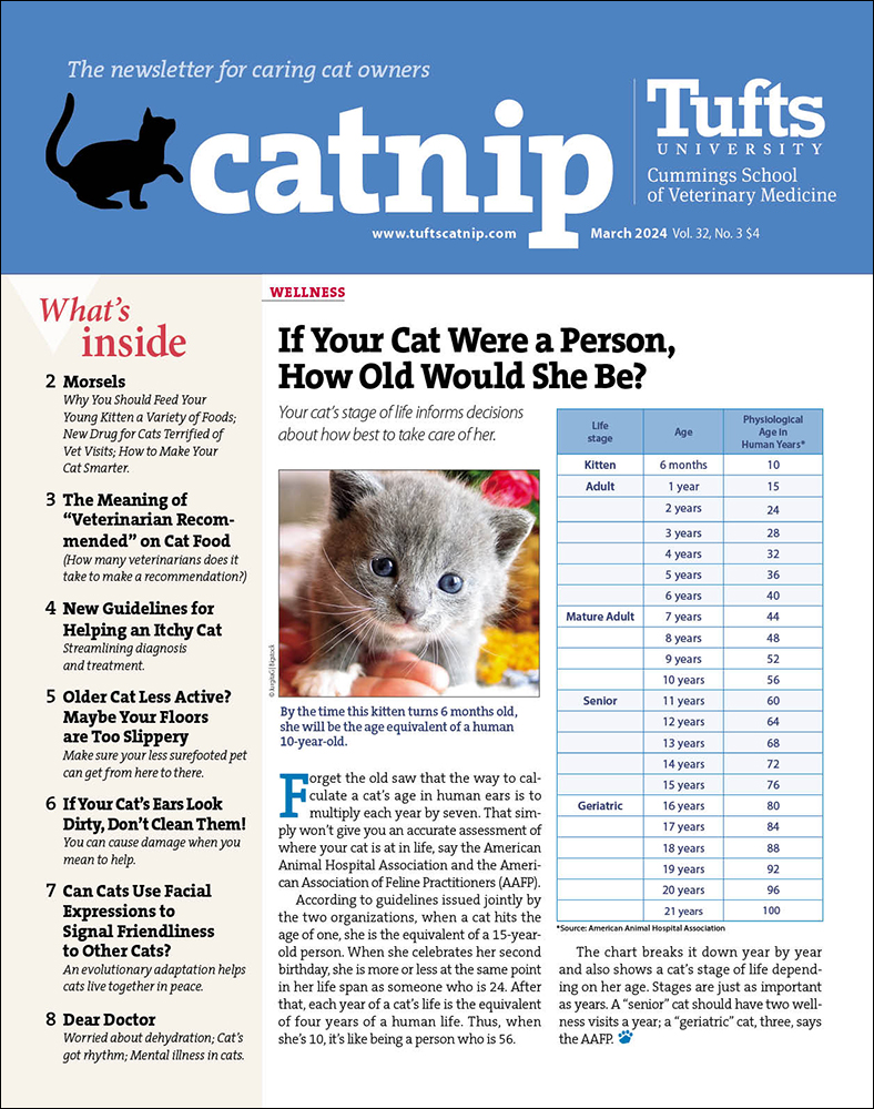 Catnip March 01, 2024 Issue Cover