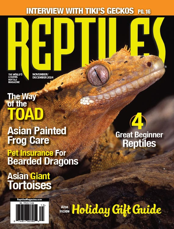 Reptiles November 01, 2024 Issue Cover