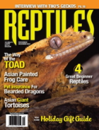 Reptiles November 01, 2024 Issue Cover