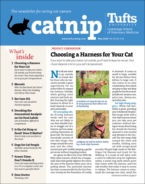 Catnip May 01, 2020 Issue Cover
