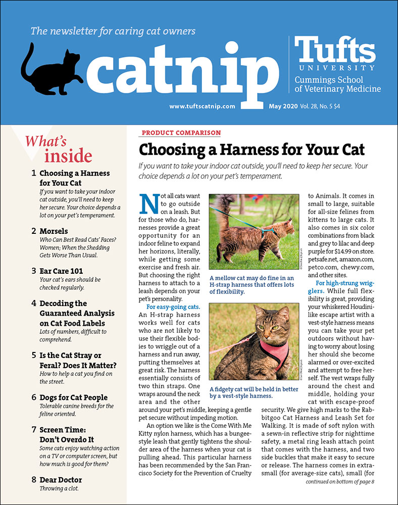 Catnip May 01, 2020 Issue Cover