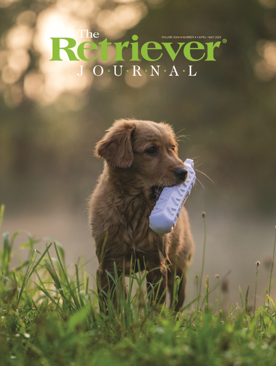 The-Retriever-Journal April 01, 2026 Issue Cover