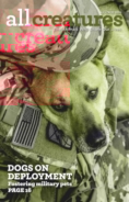 All-Creatures July 01, 2020 Issue Cover