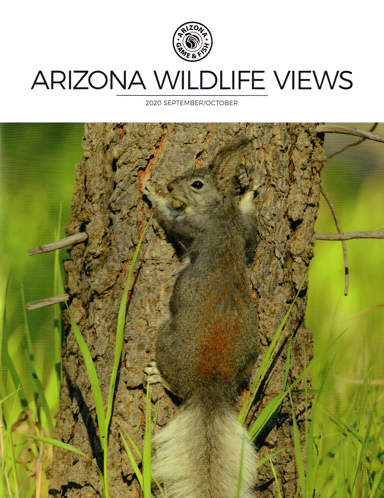 Arizona-Wildlife-Views September 01, 2020 Issue Cover