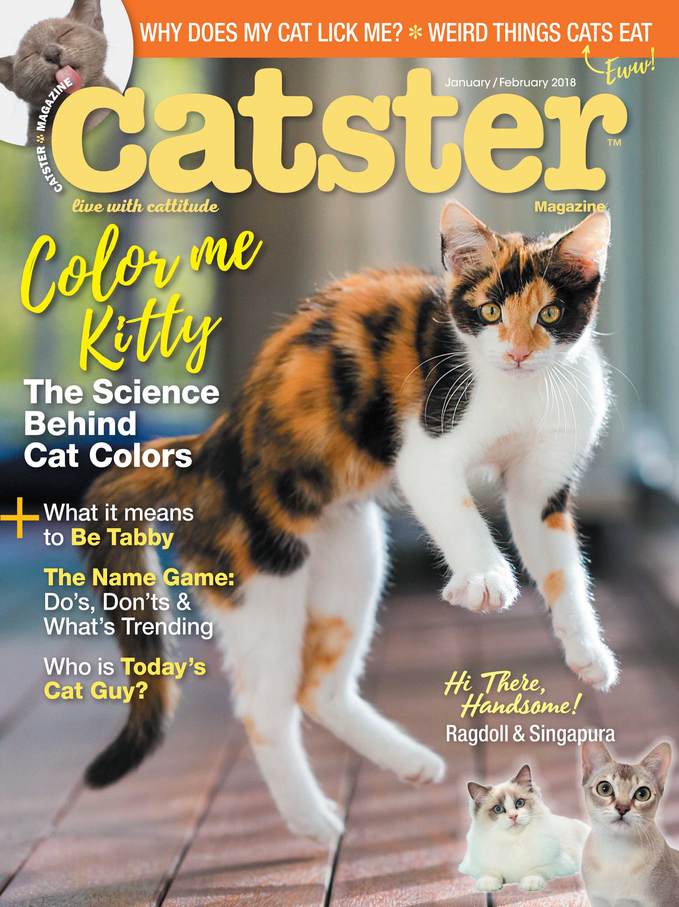 Catster January 01, 2018 Issue Cover