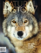 Natural-History June 01, 2023 Issue Cover