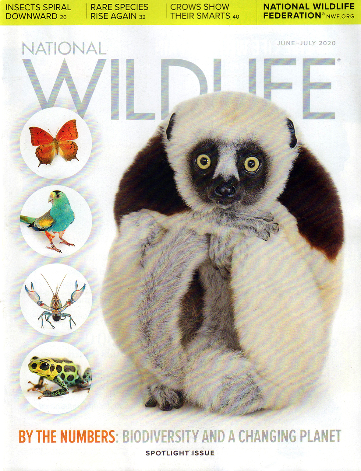 National-Wildlife June 01, 2020 Issue Cover