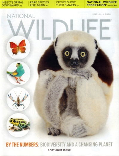 National Wildlife June 01, 2020 Issue Cover
