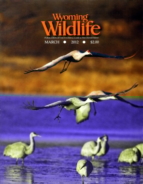 Wyoming-Wildlife March 01, 2012 Issue Cover