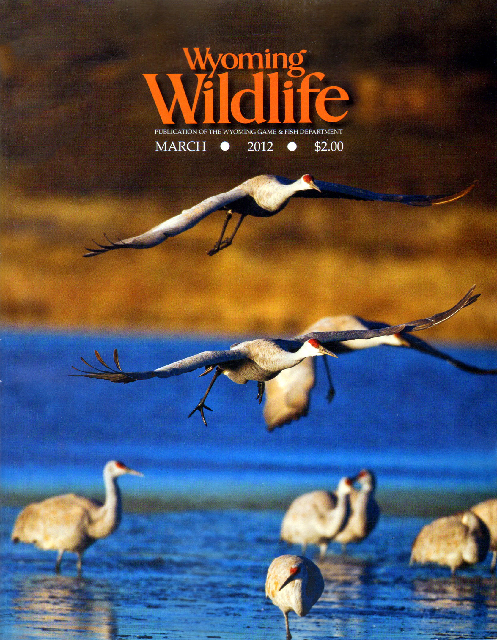 Wyoming-Wildlife March 01, 2012 Issue Cover