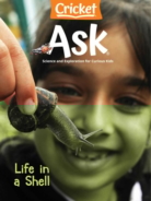ask July 01, 2021 Issue Cover