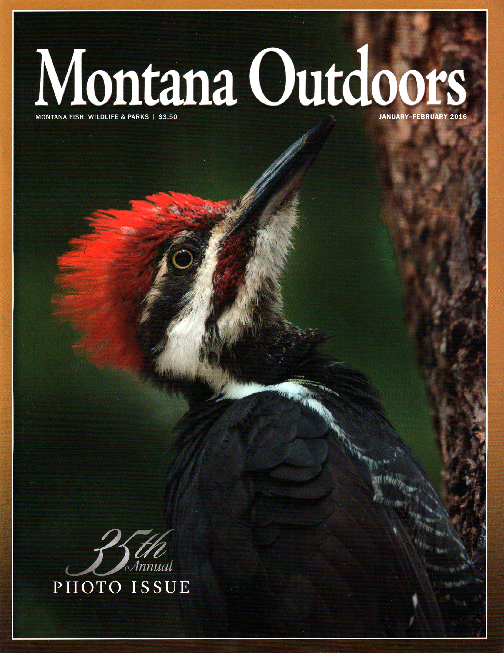 Montana-Outdoors January 01, 2016 Issue Cover
