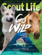 Scout-Life November 01, 2022 Issue Cover