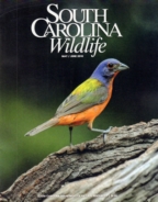 South-Carolina-Wildlife May 01, 2018 Issue Cover