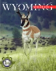 Wyoming-Wildlife July 01, 2021 Issue Cover