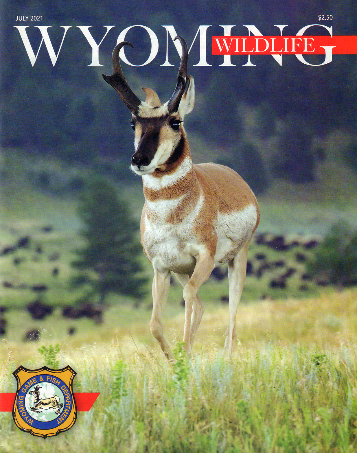 Wyoming-Wildlife July 01, 2021 Issue Cover