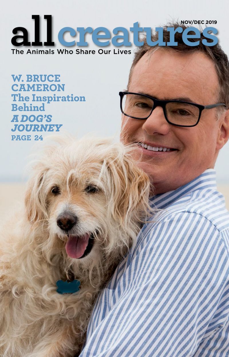 All-Creatures November 01, 2019 Issue Cover