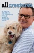 All-Creatures November 01, 2019 Issue Cover
