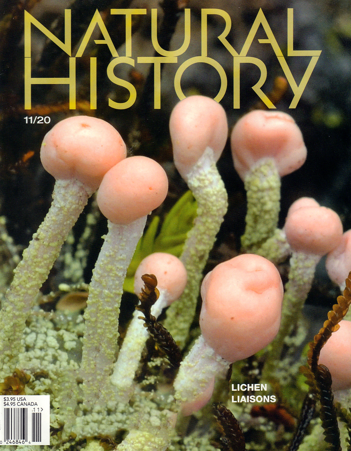 Natural-History November 01, 2020 Issue Cover
