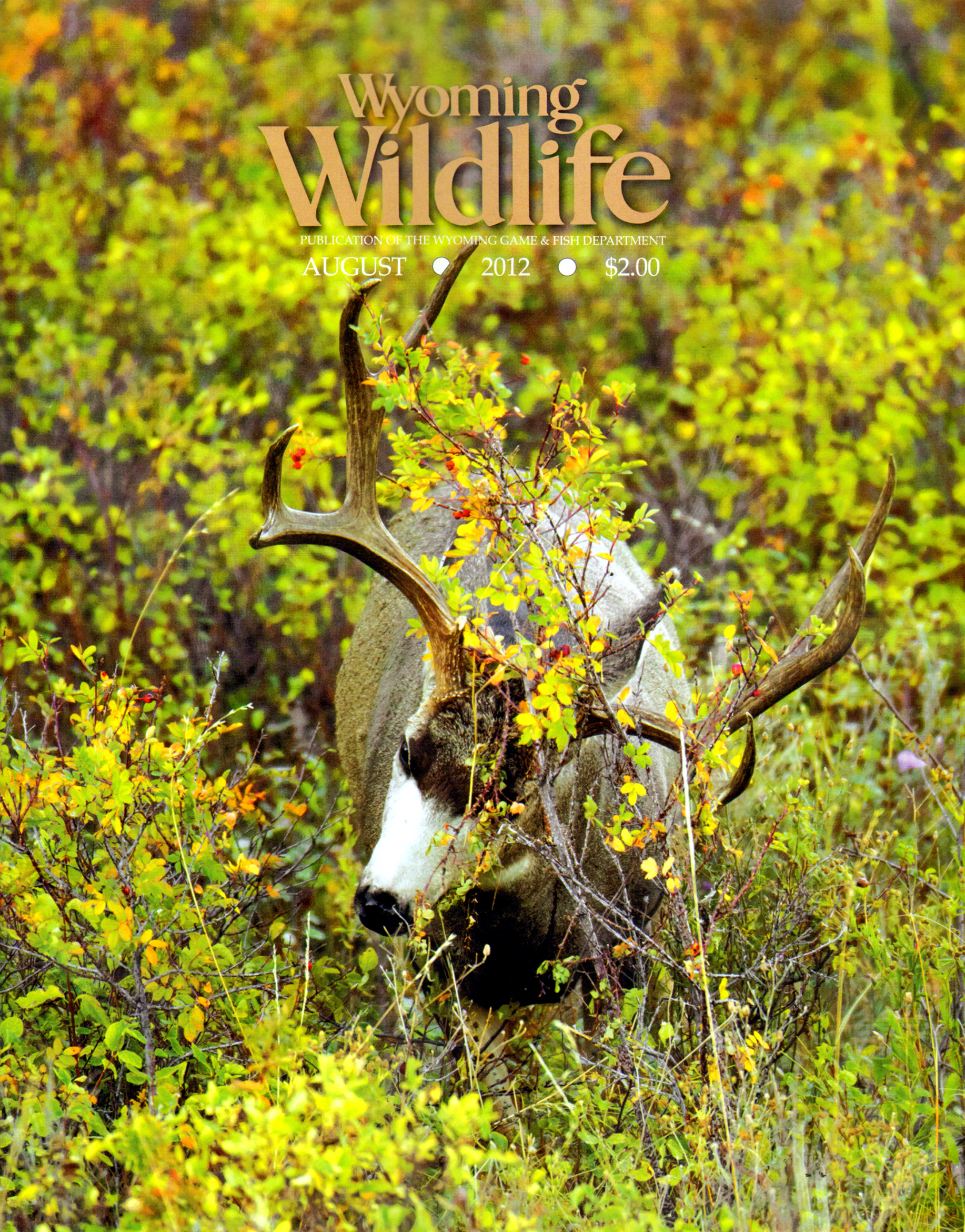 Wyoming-Wildlife August 01, 2012 Issue Cover