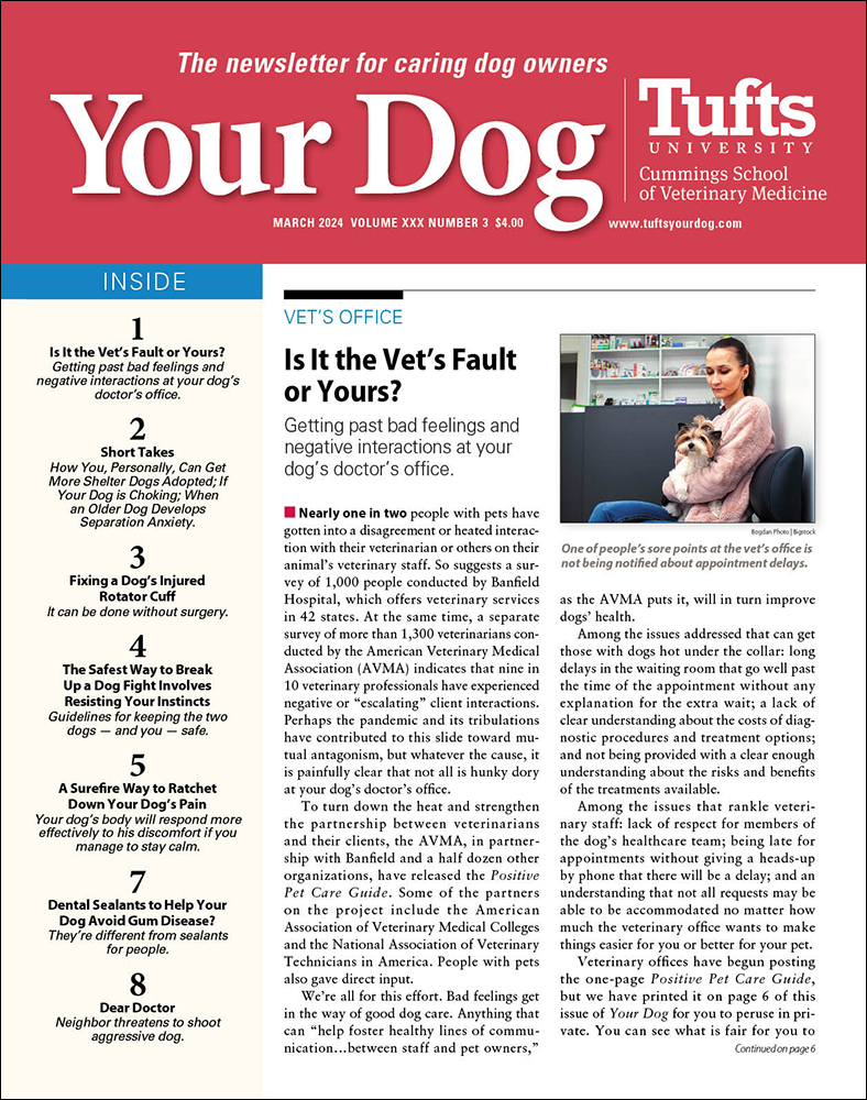 Your-Dog March 01, 2024 Issue Cover