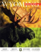 Wyoming-Wildlife September 01, 2019 Issue Cover