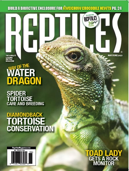 Reptiles May 01, 2023 Issue Cover