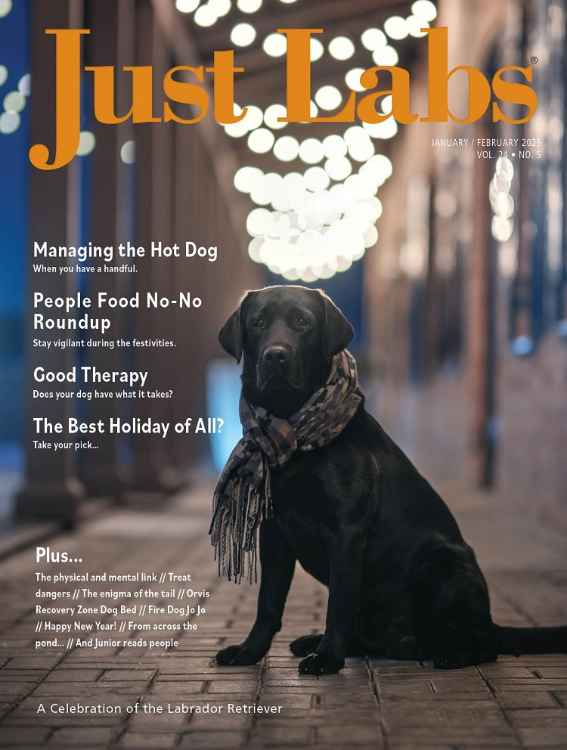 Just Labs January 01, 2025 Issue Cover