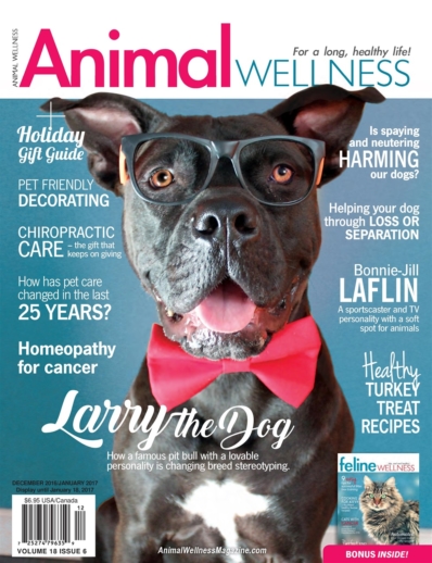 Animal Wellness December 01, 2016 Issue Cover