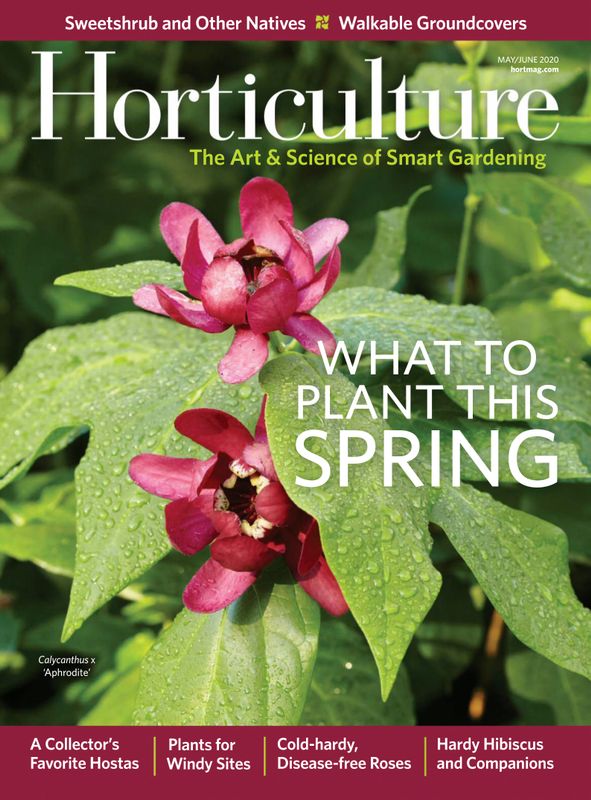 Horticulture May 01, 2020 Issue Cover