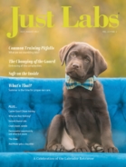 Just-Labs July 01, 2022 Issue Cover