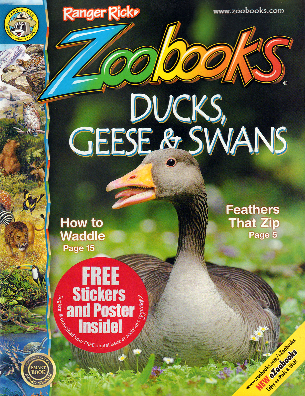 zoobooks July 01, 2020 Issue Cover