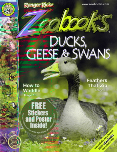 Zoobooks July 01, 2020 Issue Cover