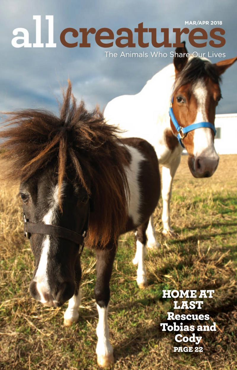 All-Creatures March 01, 2018 Issue Cover