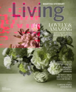 Martha-Stewart-Living May 01, 2020 Issue Cover