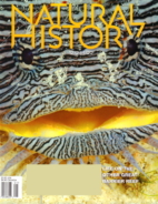 Natural-History December 01, 2021 Issue Cover