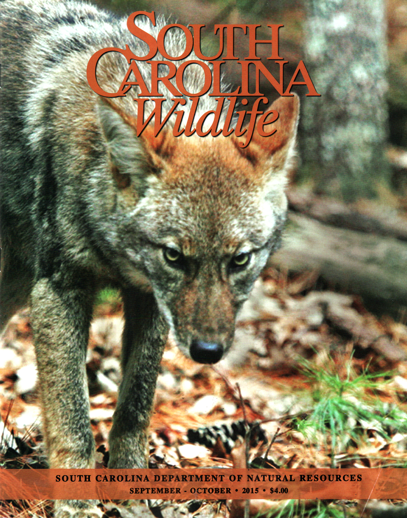 South-Carolina-Wildlife September 01, 2015 Issue Cover