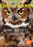 Birds-and-Blooms October 01, 2017 Issue Cover