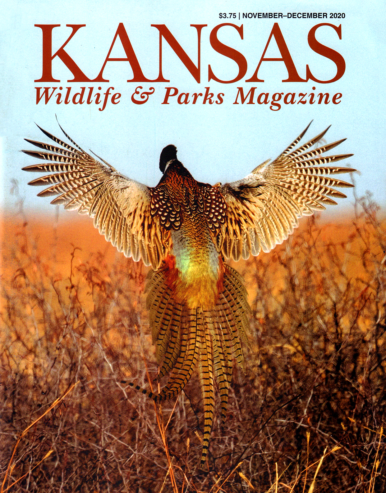 Kansas-Wildlife-and-Parks November 01, 2020 Issue Cover