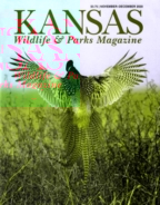 Kansas-Wildlife-and-Parks November 01, 2020 Issue Cover