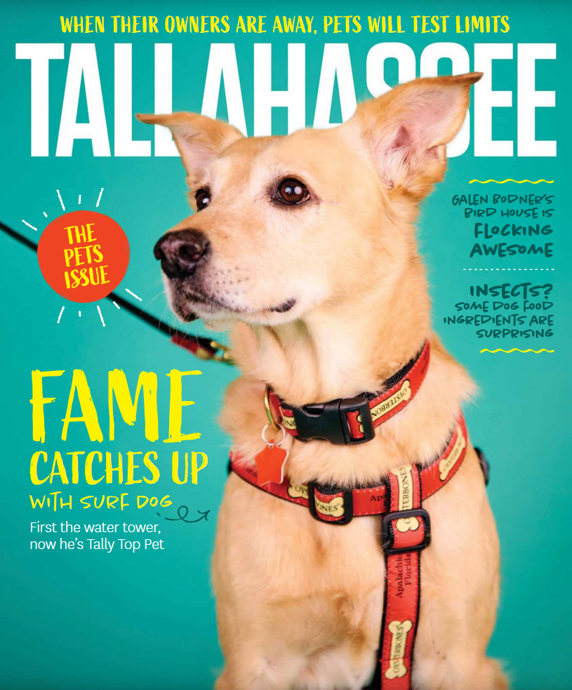 Tallahassee May 01, 2022 Issue Cover