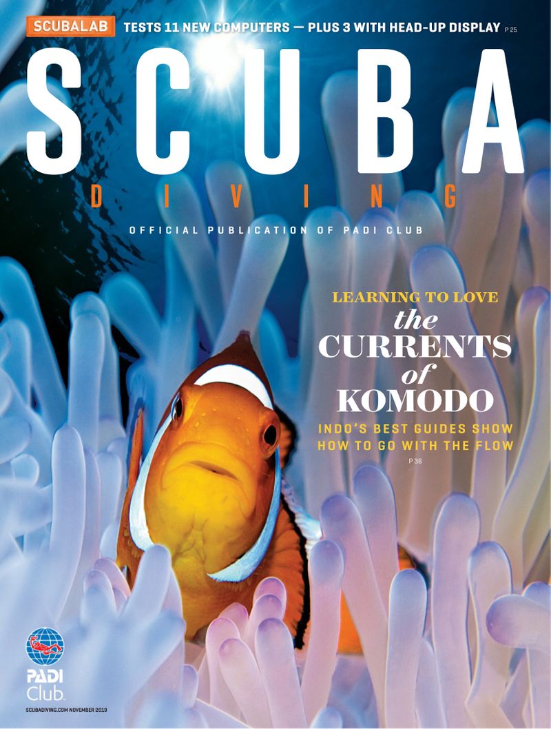 Scuba-Diving November 01, 2019 Issue Cover