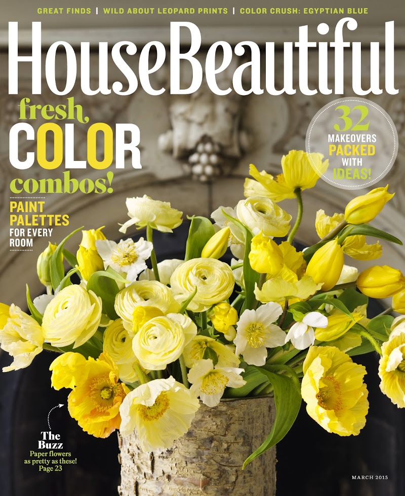 House-Beautiful March 01, 2015 Issue Cover