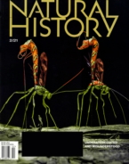 Natural-History February 01, 2021 Issue Cover