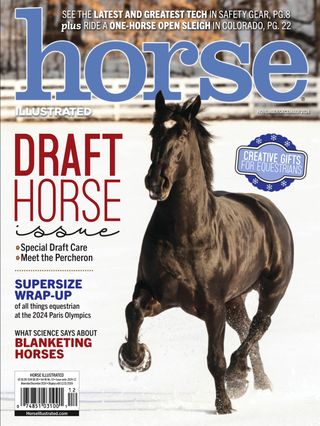 Horse-Illustrated November 01, 2024 Issue Cover