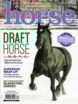 Horse-Illustrated November 01, 2024 Issue Cover