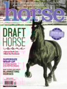 Horse-Illustrated November 01, 2024 Issue Cover